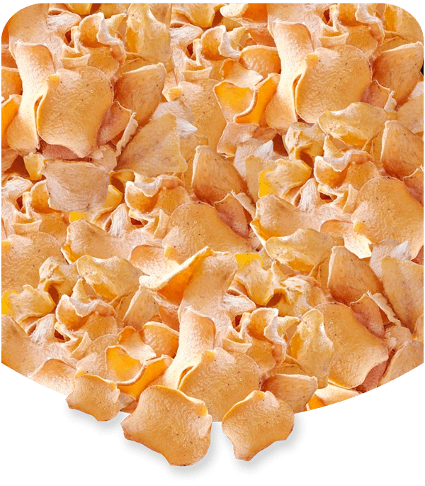 Img-Chips-porang-Oven-min